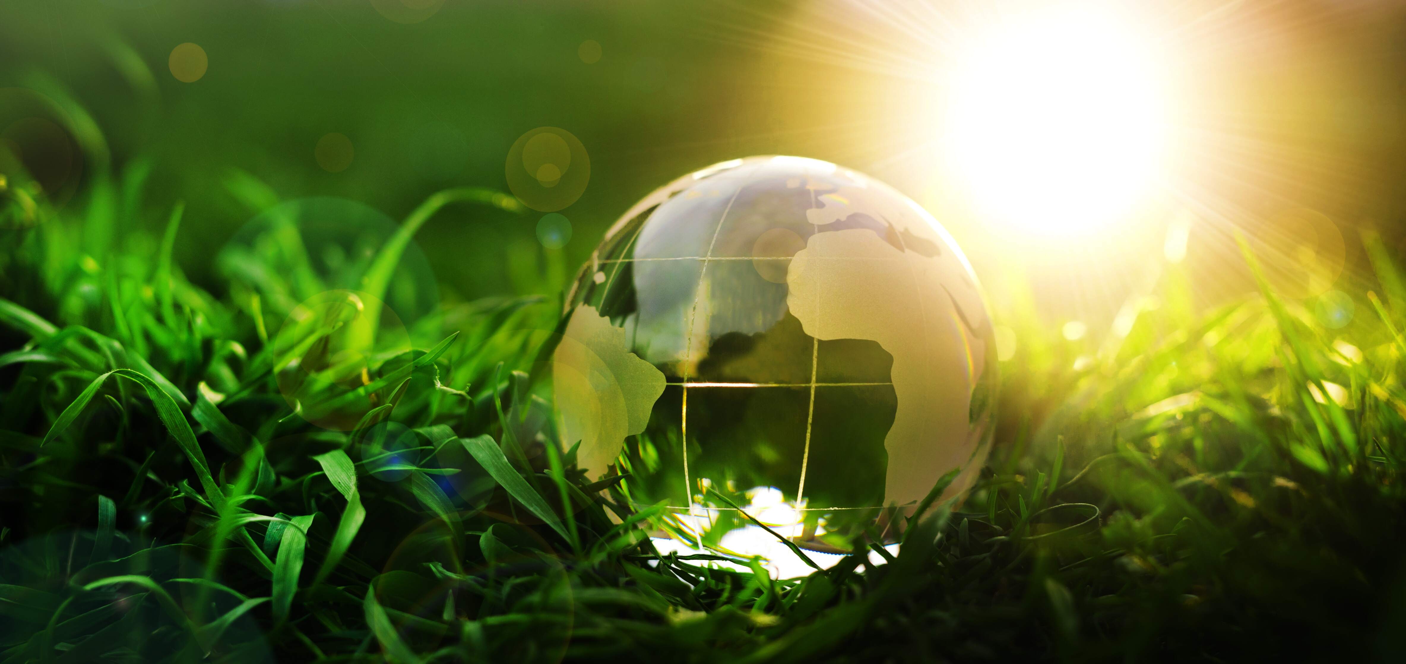 Partner with us for a sustainable future